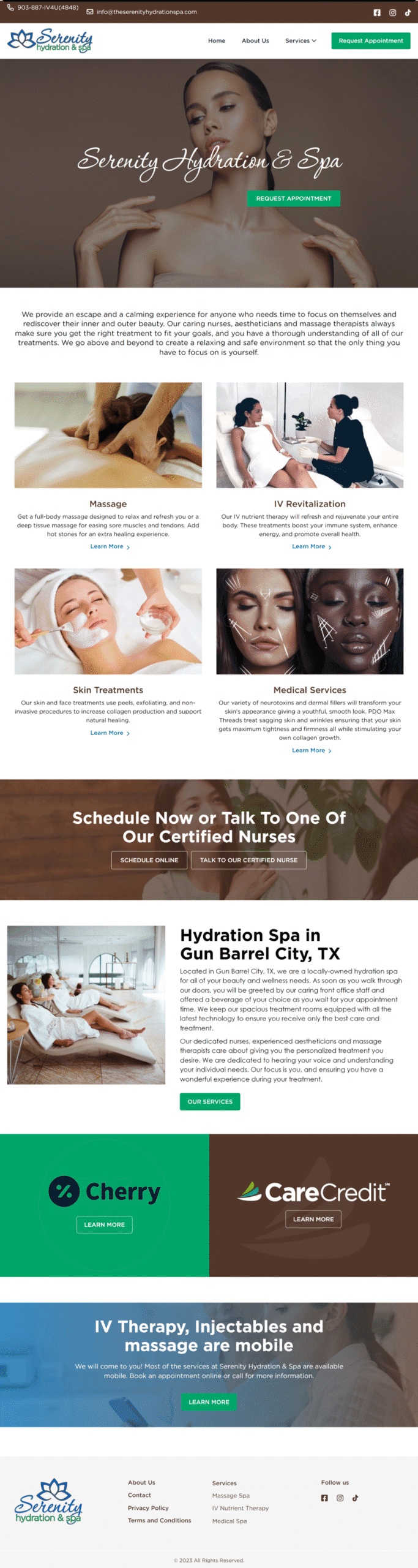 homepage 1
